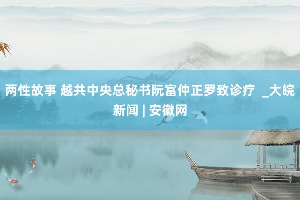 两性故事 越共中央总秘书阮富仲正罗致诊疗  _大皖新闻 | 安徽网