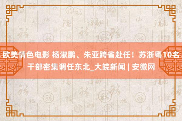 欧美情色电影 杨淑鹏、朱亚跨省赴任！苏浙粤10名干部密集调任东北_大皖新闻 | 安徽网