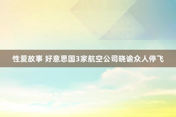 性爱故事 好意思国3家航空公司晓谕众人停飞