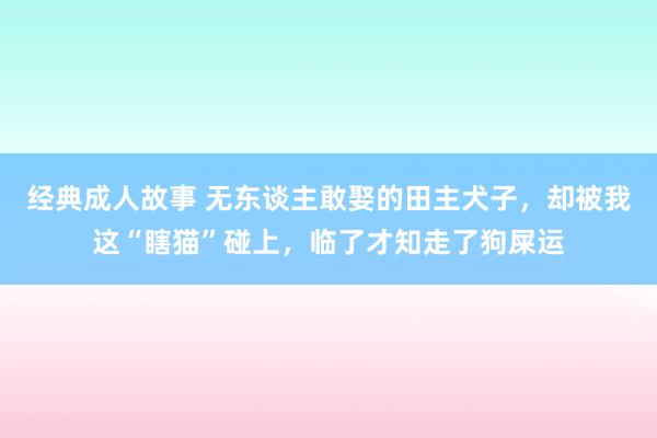 经典成人故事 无东谈主敢娶的田主犬子，却被我这“瞎猫”碰上，临了才知走了狗屎运