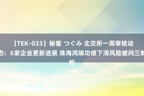 【TEK-033】秘蜜 つぐみ 北交所一周审核动态：6家企业更新进展 珠海鸿瑞功绩下滑风险被问三轮