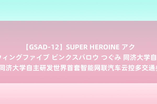 【GSAD-12】SUPER HEROINE アクションウォーズ 超翼戦隊ウィングファイブ ピンクスパロウ つぐみ 同济大学自主研发世界首套智能网联汽车云控多交通参与者测评系统