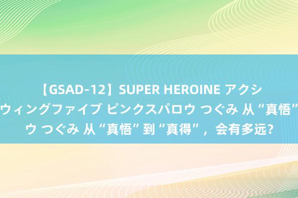 【GSAD-12】SUPER HEROINE アクションウォーズ 超翼戦隊ウィングファイブ ピンクスパロウ つぐみ 从“真悟”到“真得”，会有多远？