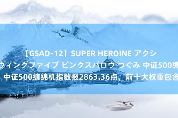 【GSAD-12】SUPER HEROINE アクションウォーズ 超翼戦隊ウィングファイブ ピンクスパロウ つぐみ 中证500缠绵机指数报2863.36点，前十大权重包含中科软等