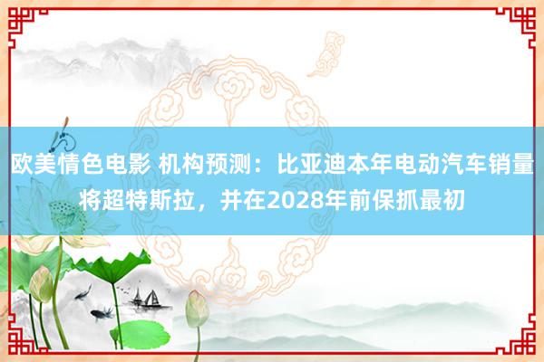 欧美情色电影 机构预测：比亚迪本年电动汽车销量将超特斯拉，并在2028年前保抓最初