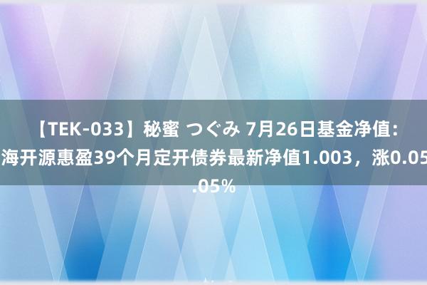 【TEK-033】秘蜜 つぐみ 7月26日基金净值：前海开源惠盈39个月定开债券最新净值1.003，涨0.05%