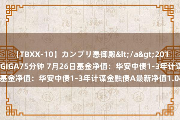 【TBXX-10】カンブリ悪御殿</a>2014-04-25GIGA&$GIGA75分钟 7月26日基金净值：华安中债1-3年计谋金融债A最新净值1.0449