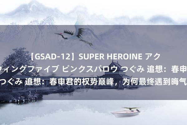 【GSAD-12】SUPER HEROINE アクションウォーズ 超翼戦隊ウィングファイブ ピンクスパロウ つぐみ 追想：春申君的权势巅峰，为何最终遇到晦气的气运？