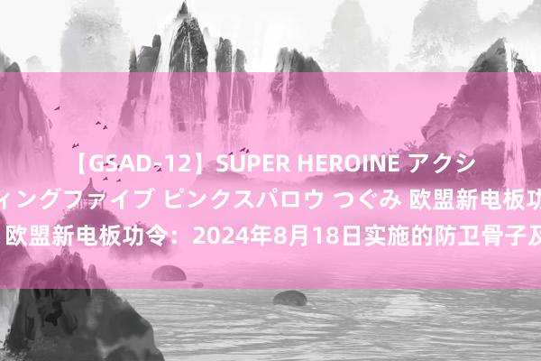 【GSAD-12】SUPER HEROINE アクションウォーズ 超翼戦隊ウィングファイブ ピンクスパロウ つぐみ 欧盟新电板功令：2024年8月18日实施的防卫骨子及应酬政策