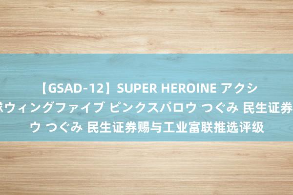 【GSAD-12】SUPER HEROINE アクションウォーズ 超翼戦隊ウィングファイブ ピンクスパロウ つぐみ 民生证券赐与工业富联推选评级