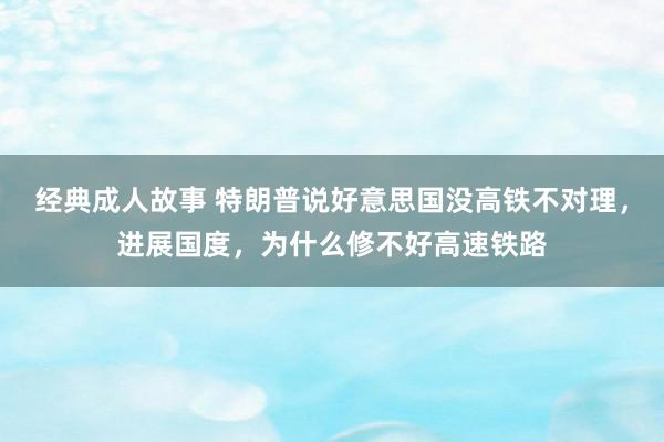 经典成人故事 特朗普说好意思国没高铁不对理，进展国度，为什么修不好高速铁路