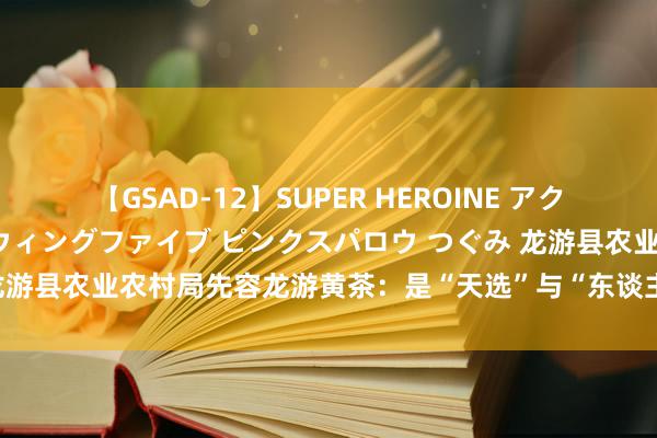 【GSAD-12】SUPER HEROINE アクションウォーズ 超翼戦隊ウィングファイブ ピンクスパロウ つぐみ 龙游县农业农村局先容龙游黄茶：是“天选”与“东谈主选”的双重效果