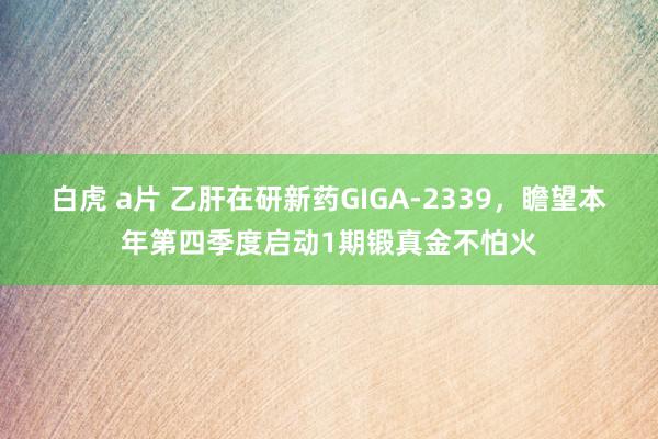 白虎 a片 乙肝在研新药GIGA-2339，瞻望本年第四季度启动1期锻真金不怕火