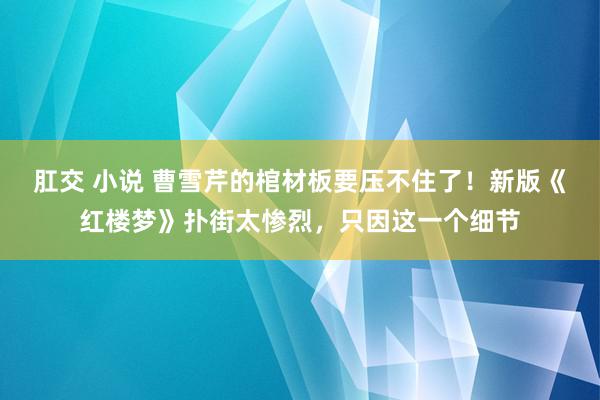 肛交 小说 曹雪芹的棺材板要压不住了！新版《红楼梦》扑街太惨烈，只因这一个细节