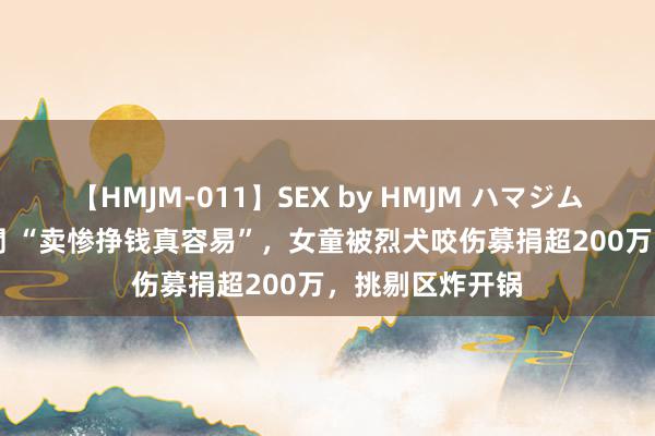 【HMJM-011】SEX by HMJM ハマジムベスト09 6時間 “卖惨挣钱真容易”，女童被烈犬咬伤募捐超200万，挑剔区炸开锅