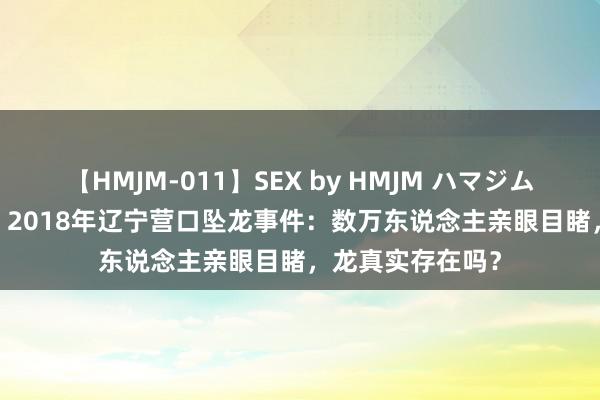 【HMJM-011】SEX by HMJM ハマジムベスト09 6時間 2018年辽宁营口坠龙事件：数万东说念主亲眼目睹，龙真实存在吗？