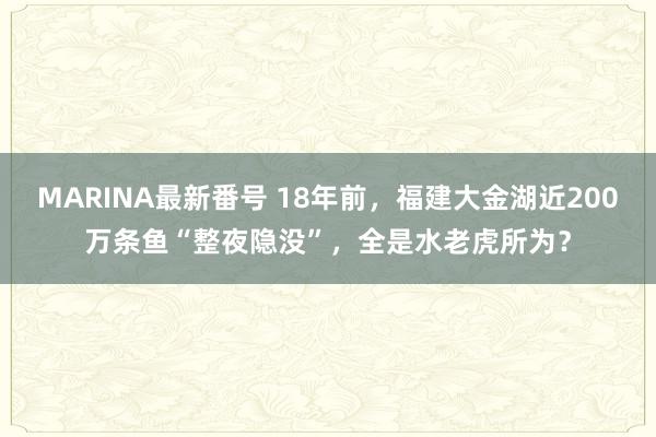 MARINA最新番号 18年前，福建大金湖近200万条鱼“整夜隐没”，全是水老虎所为？