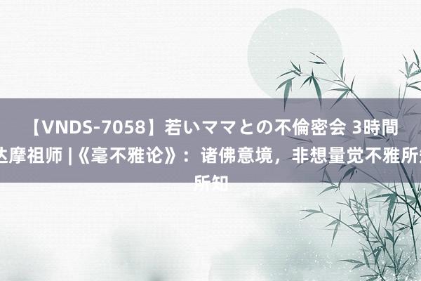 【VNDS-7058】若いママとの不倫密会 3時間 达摩祖师 |《毫不雅论》：诸佛意境，非想量觉不雅所知