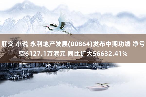 肛交 小说 永利地产发展(00864)发布中期功绩 净亏空6127.1万港元 同比扩大56632.41%