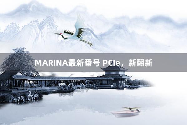 MARINA最新番号 PCIe，新翻新